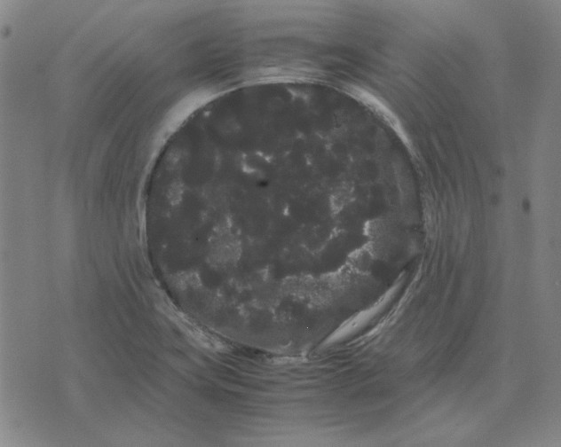 X0000071901419200607281752