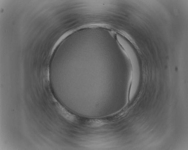 X0000071901420200607281752