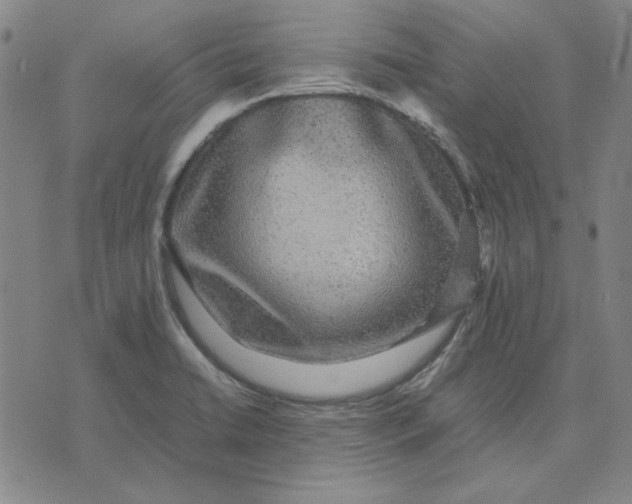 X0000071901422200607281752