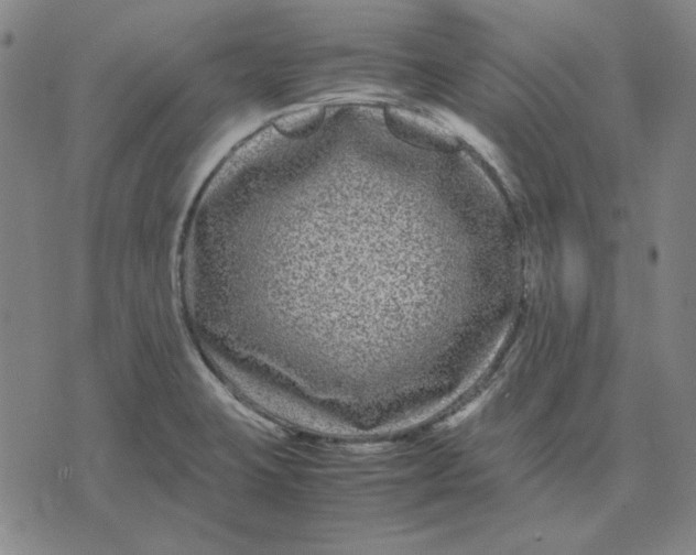 X0000071901423200607281752