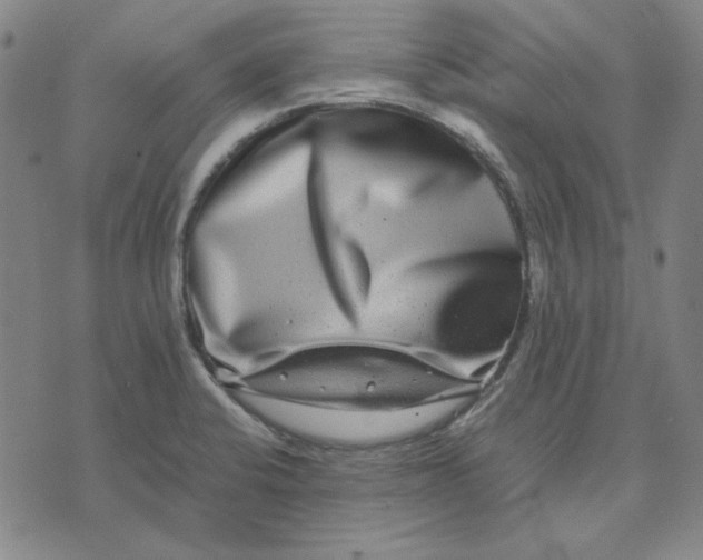 X0000071901424200607281752