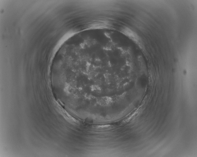 X0000071901427200607281752