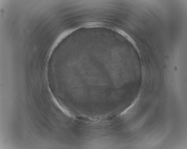 X0000071901429200607281752