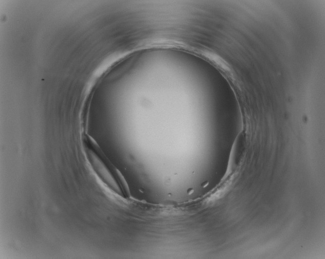 X0000071901430200607281752