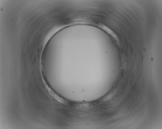 X0000071901431200607281752