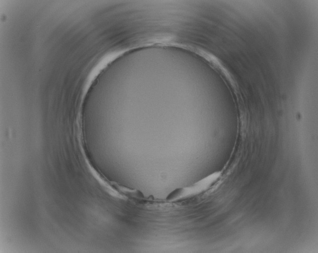 X0000071901432200607281752