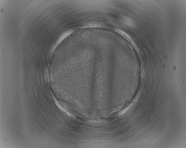 X0000071901433200607281752