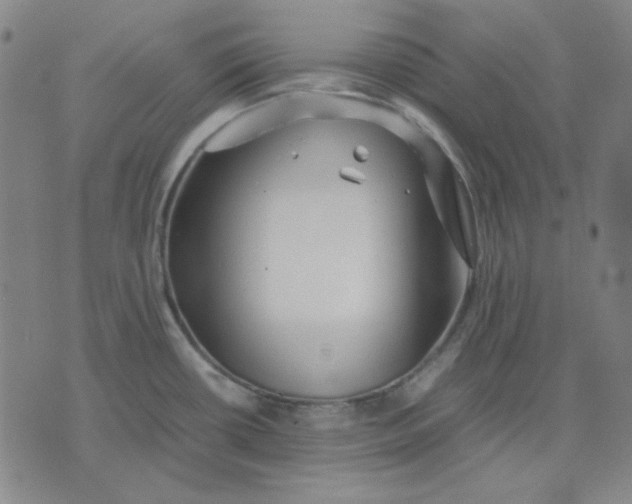 X0000071901434200607281752