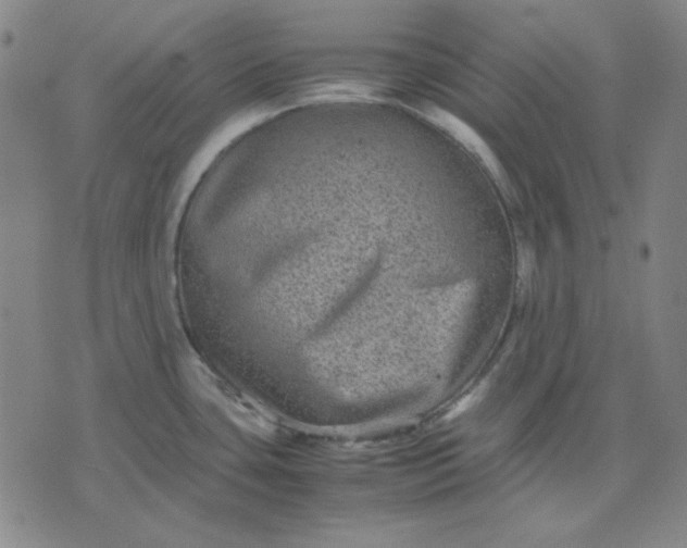 X0000071901435200607281752