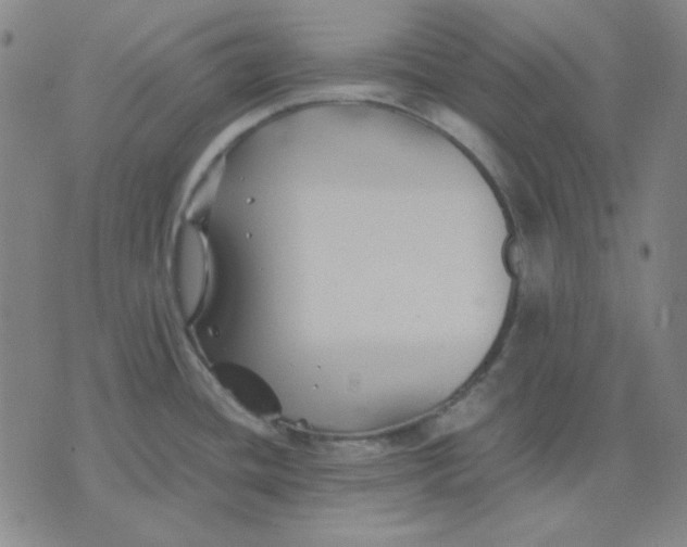 X0000071901436200607281752