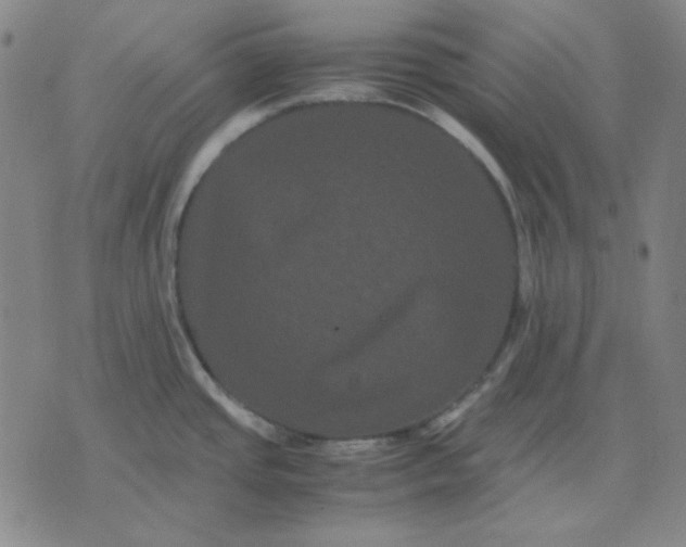 X0000071901437200607281752