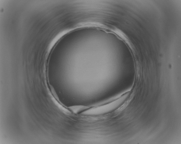 X0000071901438200607281752