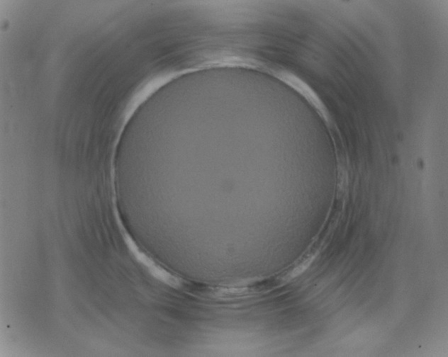 X0000071901439200607281752