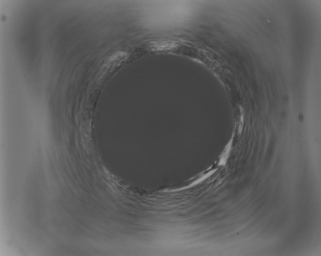 X0000071901441200607281751