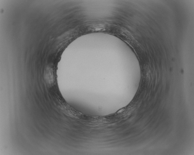 X0000071901442200607281751