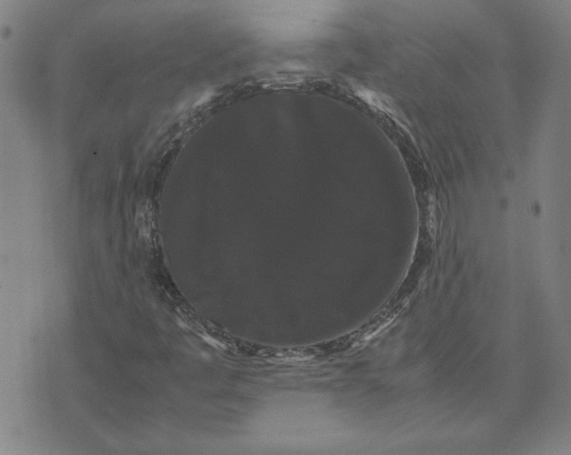 X0000071901445200607281751