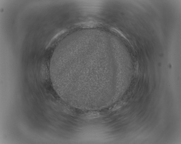 X0000071901446200607281751