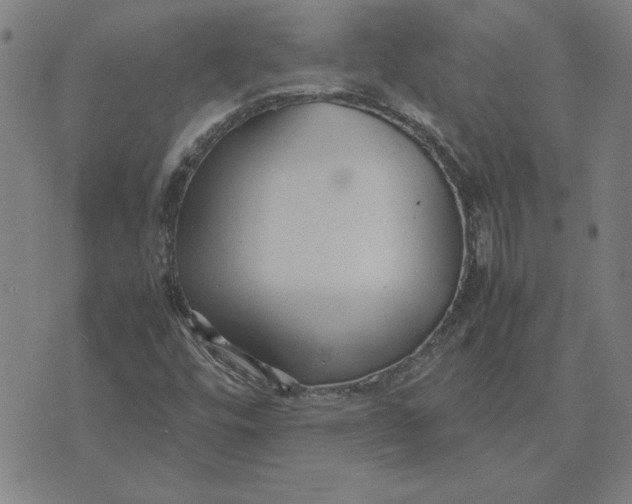 X0000071901448200607281751