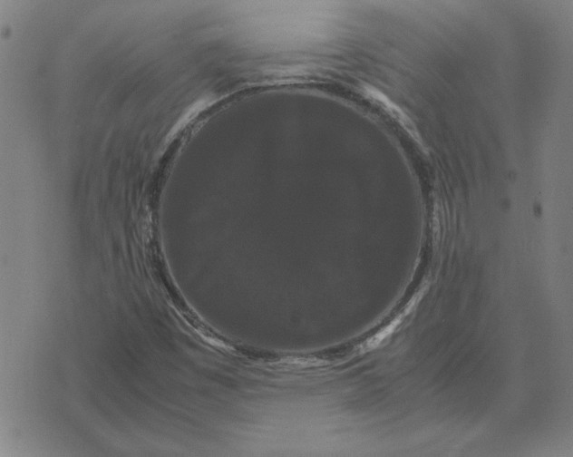 X0000071901449200607281751