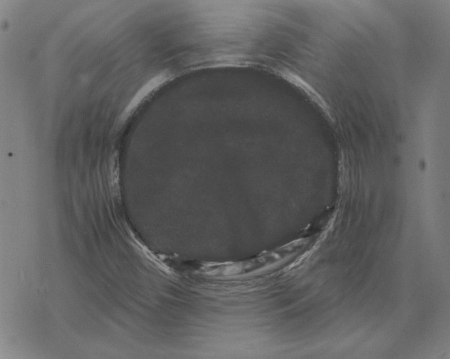 X0000071901450200607281751