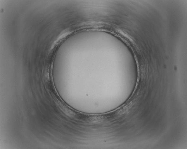 X0000071901451200607281751