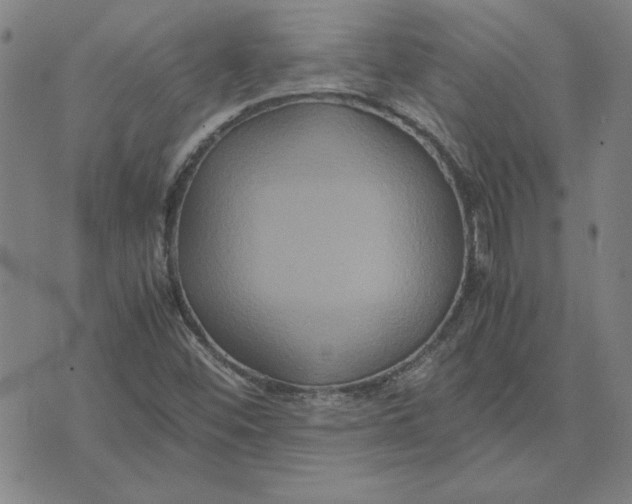 X0000071901452200607281751