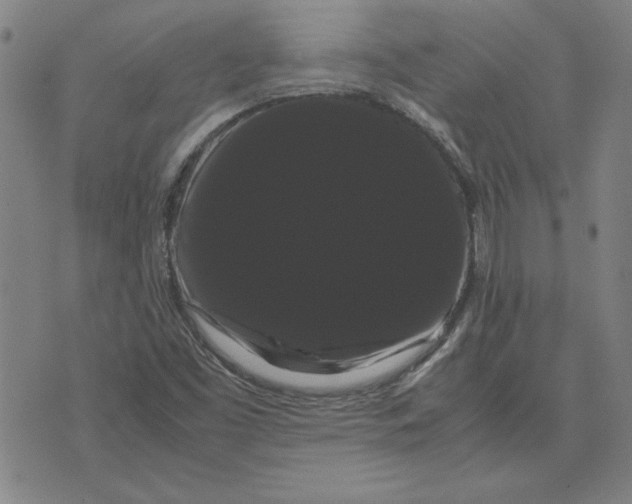 X0000071901453200607281751