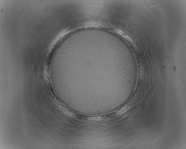 X0000071901454200607281751