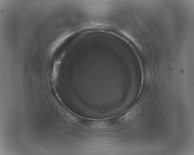 X0000071901455200607281751