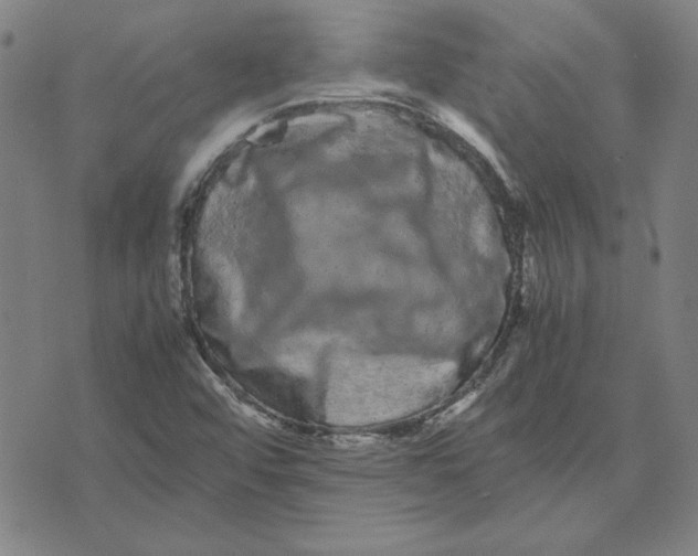 X0000071901456200607281751