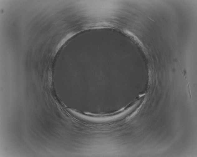 X0000071901457200607281751