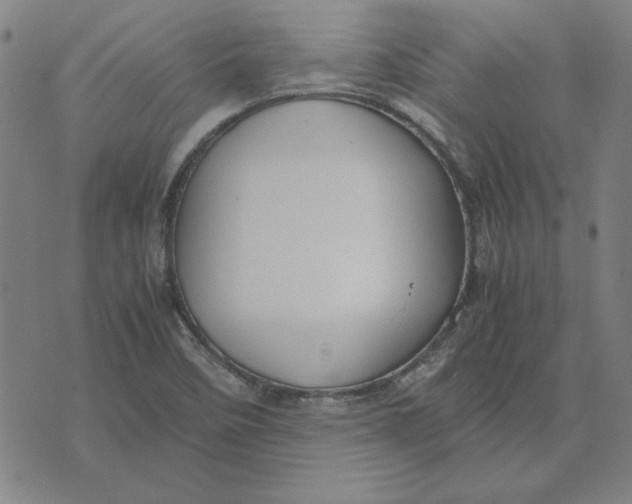 X0000071901458200607281751