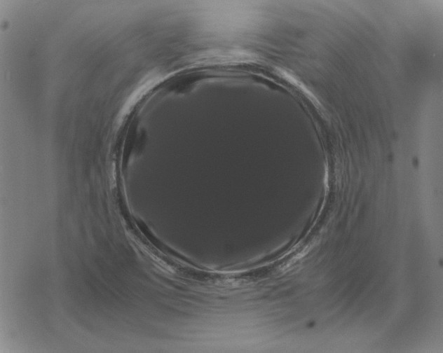 X0000071901459200607281751