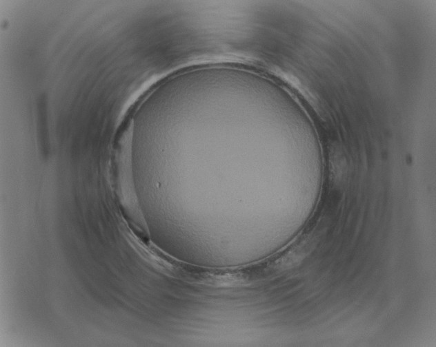 X0000071901460200607281751