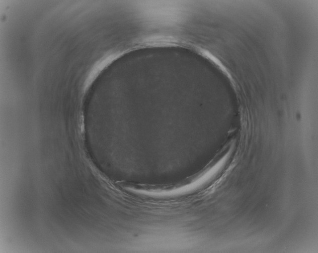 X0000071901461200607281751