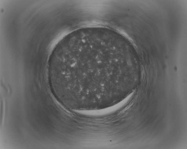 X0000071901463200607281751