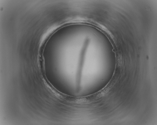 X0000071901464200607281751