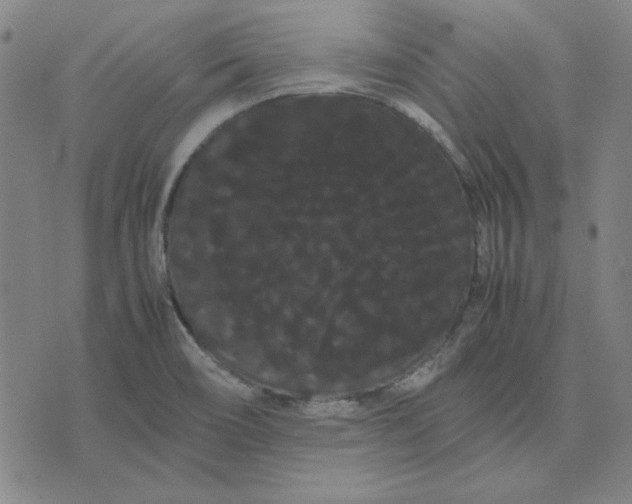 X0000071901466200607281751