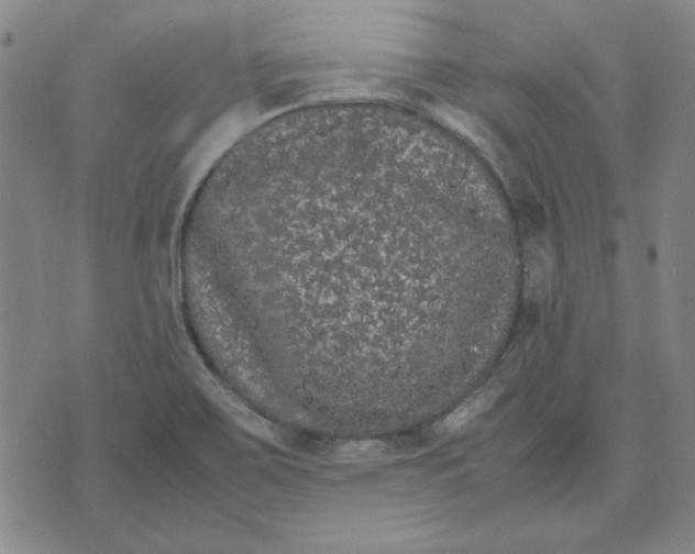 X0000071901467200607281751