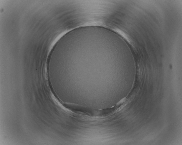 X0000071901468200607281751