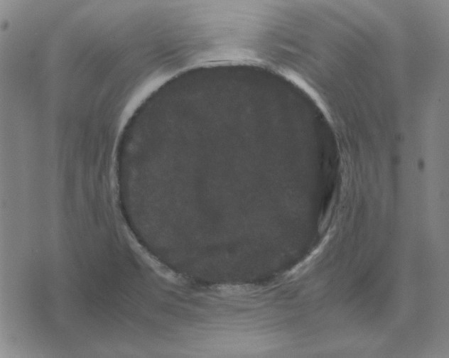 X0000071901469200607281751