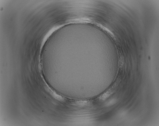 X0000071901470200607281751