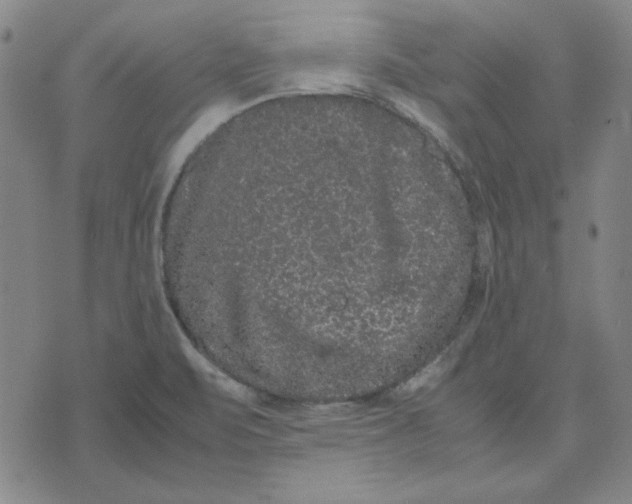 X0000071901471200607281751