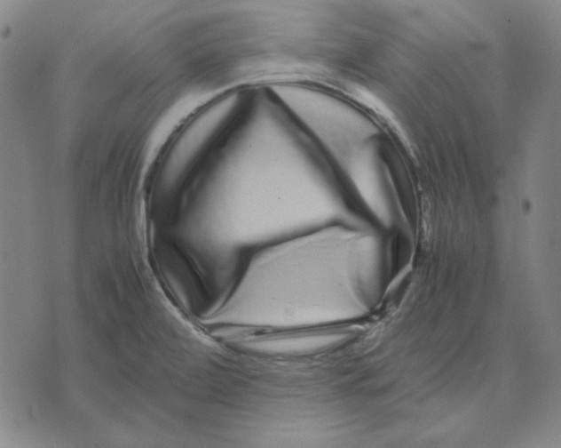 X0000071901472200607281751