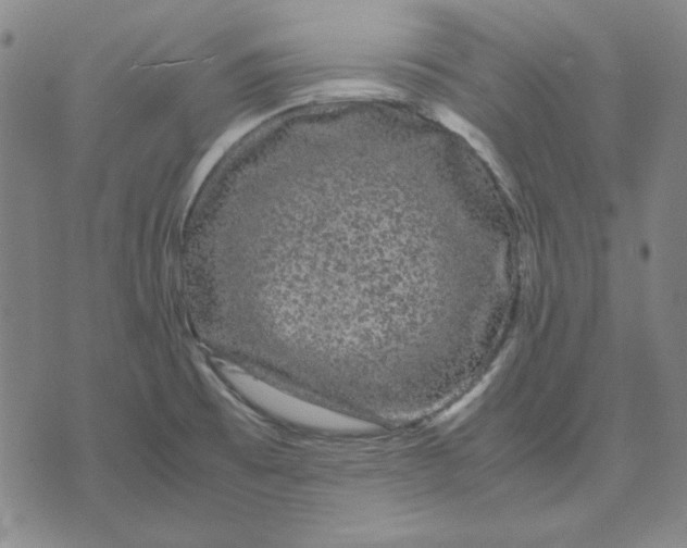 X0000071901473200607281751