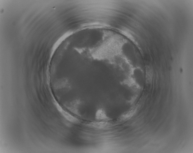 X0000071901474200607281751