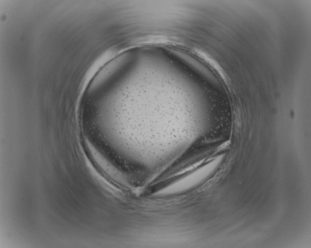 X0000071901475200607281751