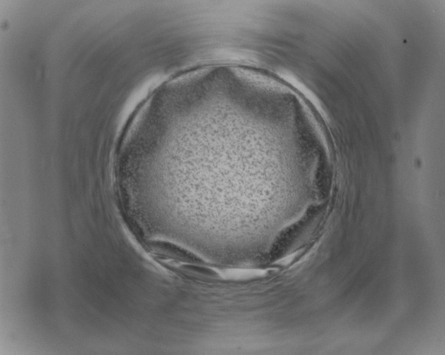 X0000071901477200607281751