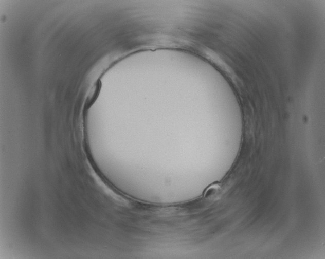 X0000071901479200607281751