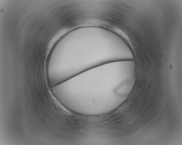 X0000071901480200607281751